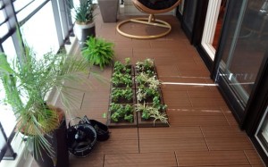 greening_img002