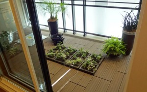 greening_img003